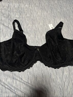 Torrid